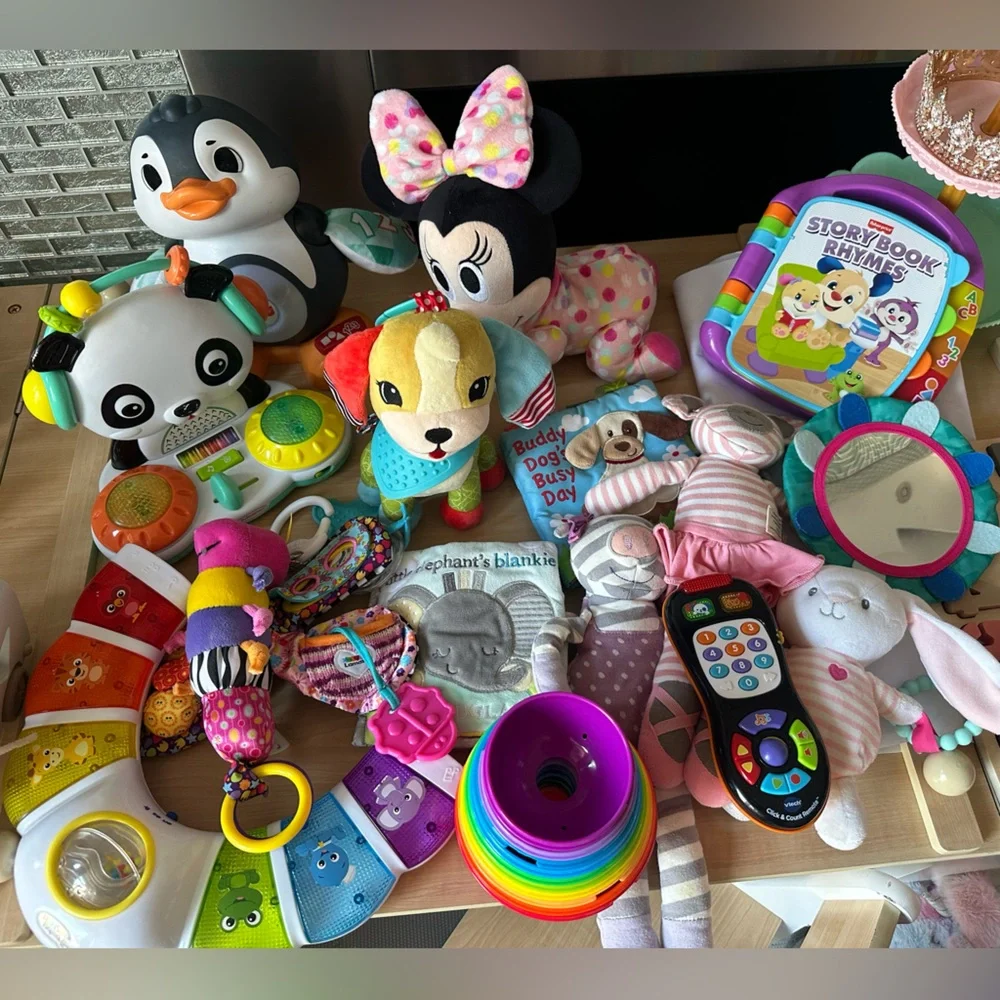 Baby and toddler play toys, books and stuffies - Picture 1 of 7